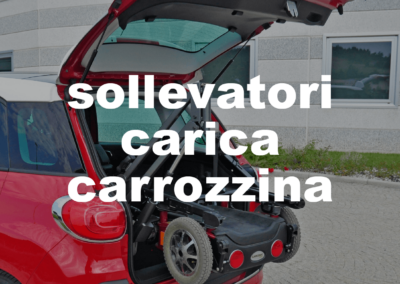 sollevatori carica carrozzina